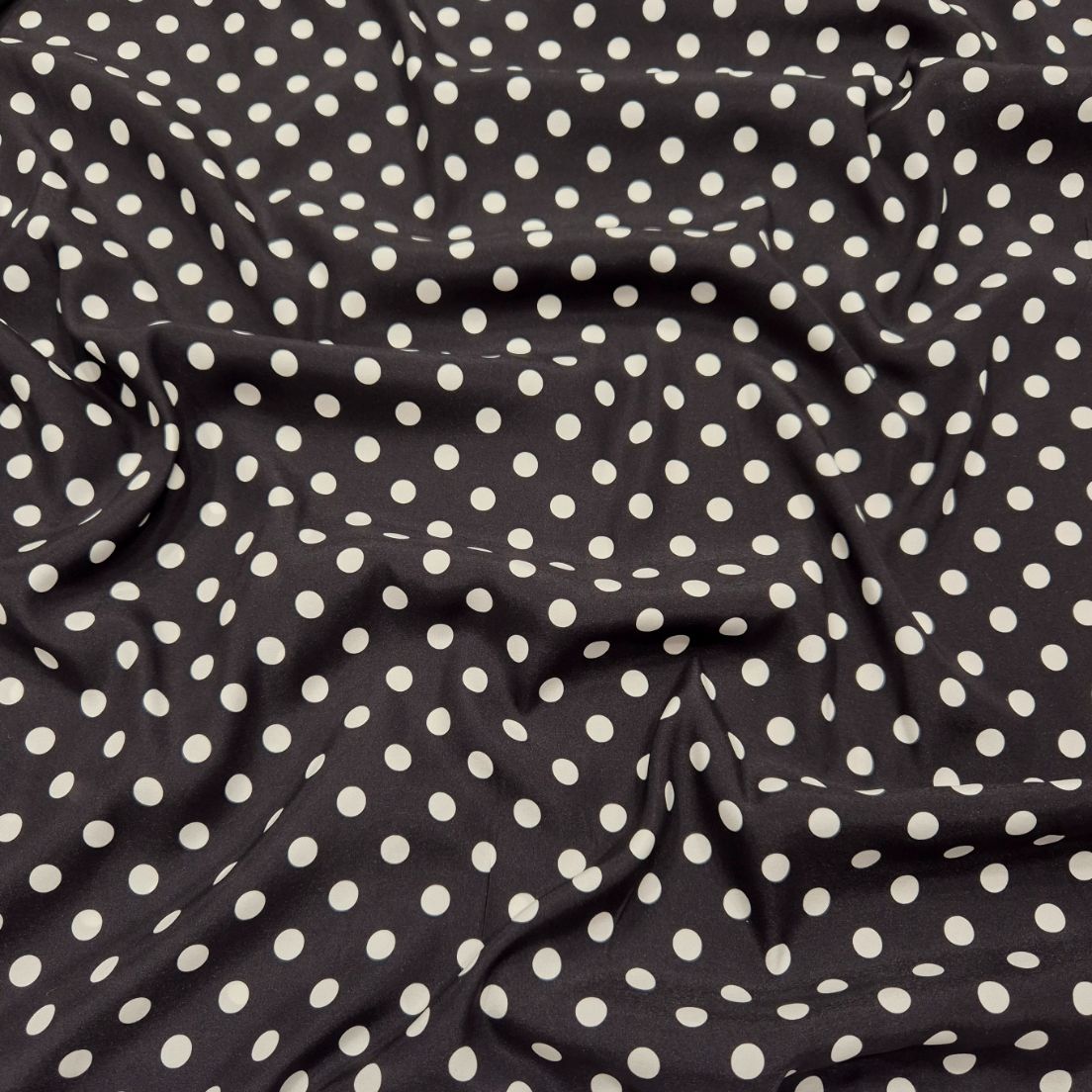 SETA POIS B&W - immagine 3